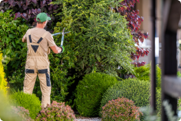 Groenonderhoud software: planning en verantwoording voor hoveniers